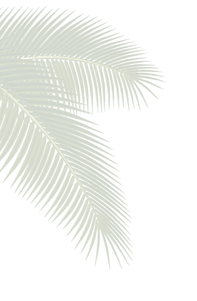 sheet