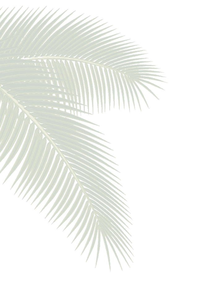 sheet